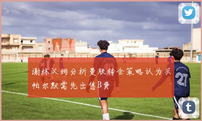 谢林汉姆分析曼联转会策略认为买帕尔默需先出售B费