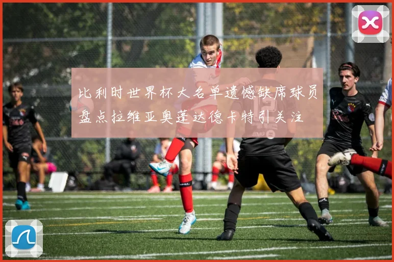 比利时世界杯大名单遗憾缺席球员盘点拉维亚奥蓬达德卡特引关注