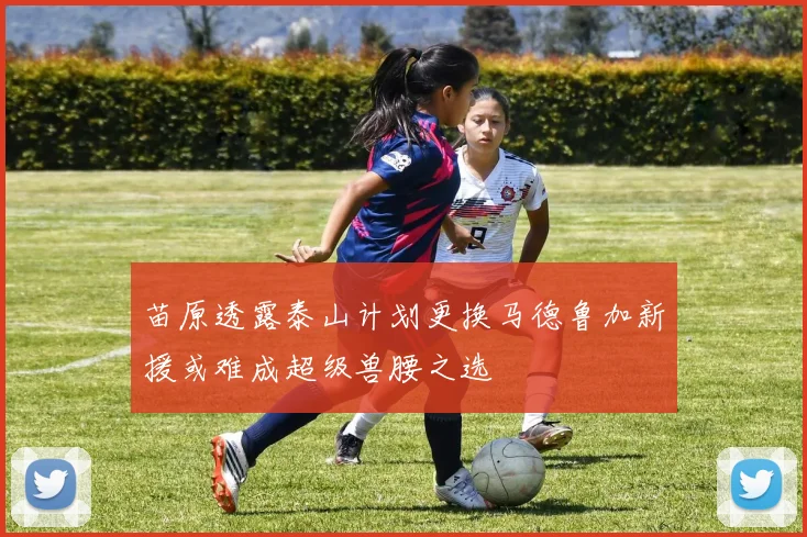 苗原透露泰山计划更换马德鲁加新援或难成超级兽腰之选